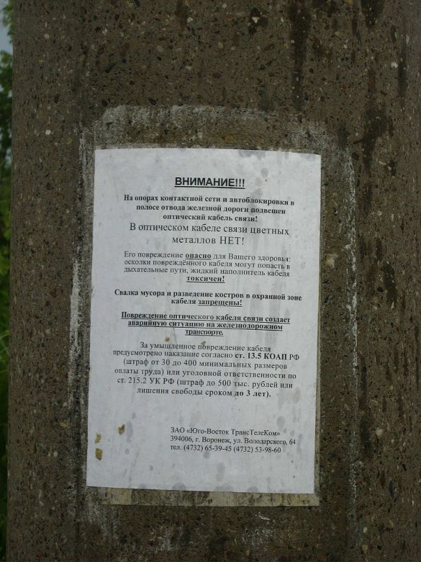 Андрей Тимченко фотография #26