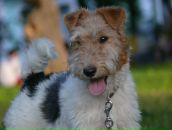 Тетяна Єськова фотография #26 (источник - https://vk.com/id2347817)