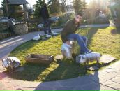 Степко Андрушків фотография #16 (источник - https://vk.com/id132170121)