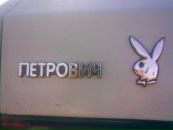 Фотография Петина Александра