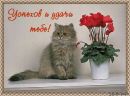 Вася Сінченко фотография #46 (источник - https://vk.com/id160922730)