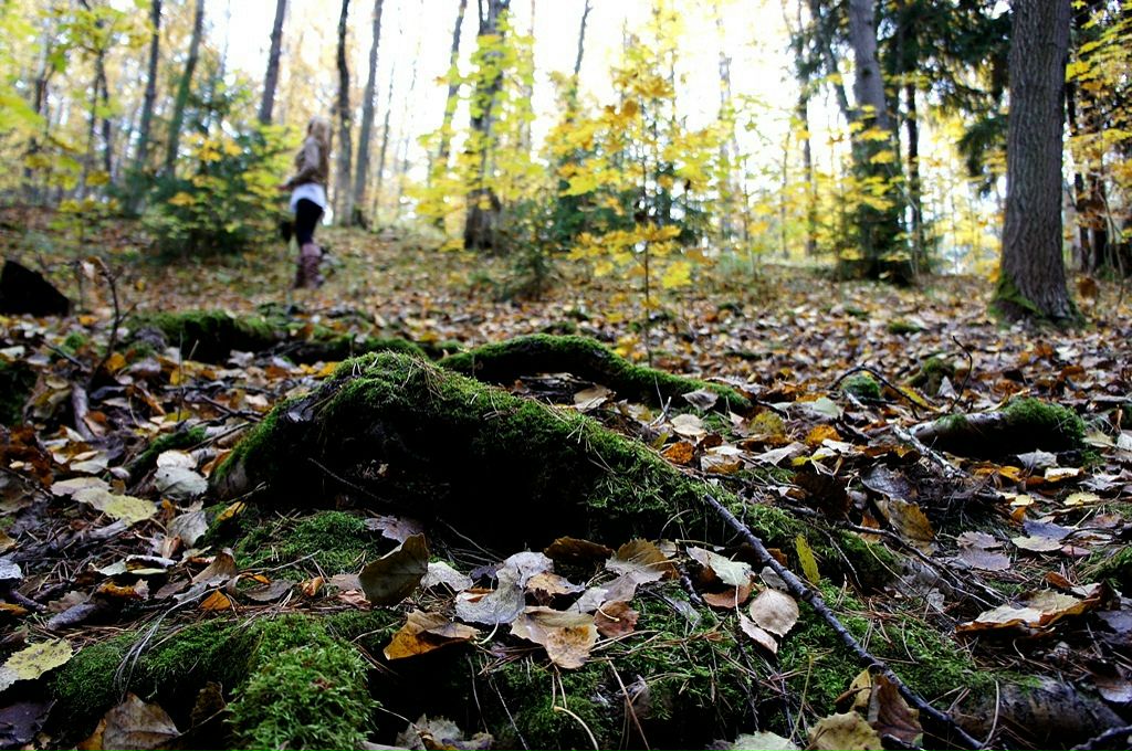 Stepan Ryabinin фотография #27