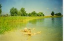 Фотография Грезя Ильи
