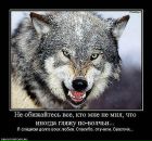 Фотография Сани Александра