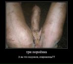 Дмитрий Бирюков фотография #12 (источник - https://vk.com/id67059265)