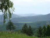 Фотография Тимониной Надежды