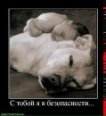 Вася Мосійчук фотография #42 (источник - https://vk.com/id92296268)