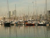 Фотография Прохорова Максима